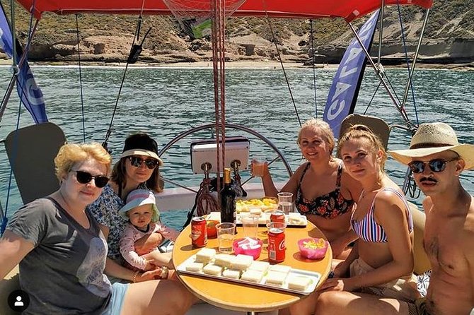 Whale and Dolphin Small Group Sailing from Tenerife South - Key points to know before you book