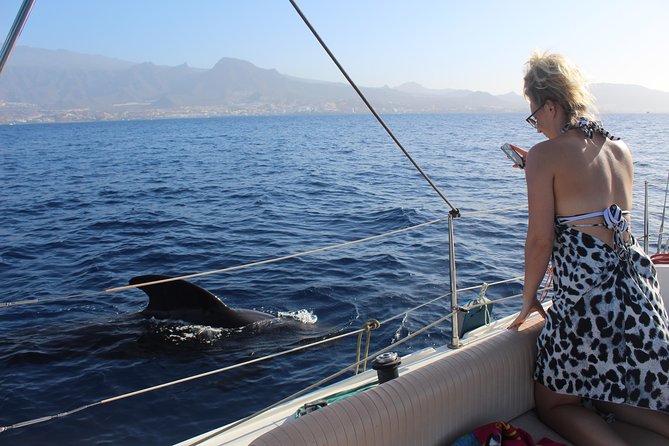 Whale and Dolphin Small Group Sailing from Tenerife South - Searching Tenerife’s deep water for pilot whales