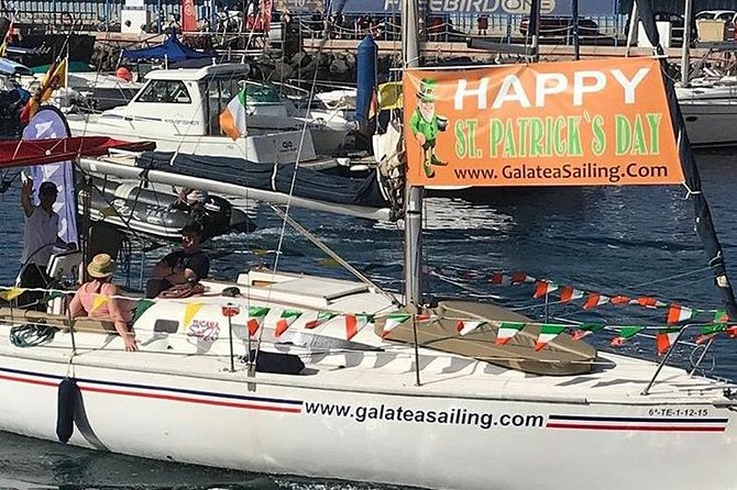 Whale and Dolphin Small Group Sailing from Tenerife South - A swim and snorkel stop near shore