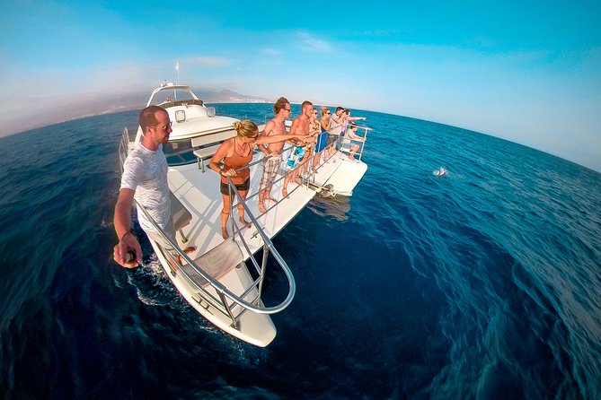 Whale and Dolphin Watching Catamaran with Transfer and Buffet - Why pilot whales make this three-hour trip worthwhile