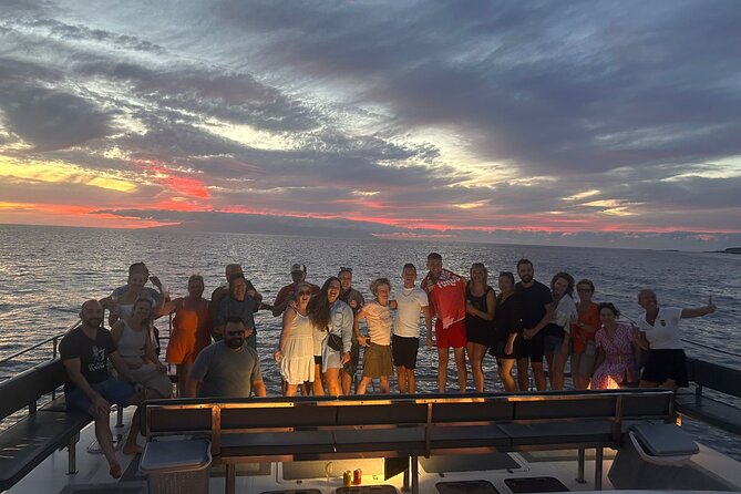 Whale and Dolphin Watching Catamaran with Transfer and Buffet - Swimming and snorkeling near the south coast