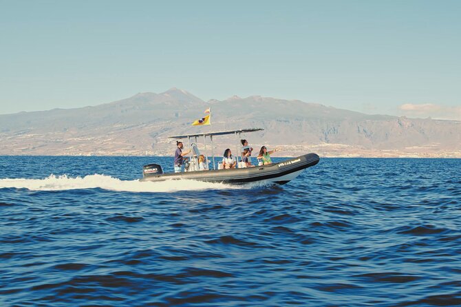 Whale and Dolphin Watching EcoAdventure in Tenerife - Why the small group changes the experience