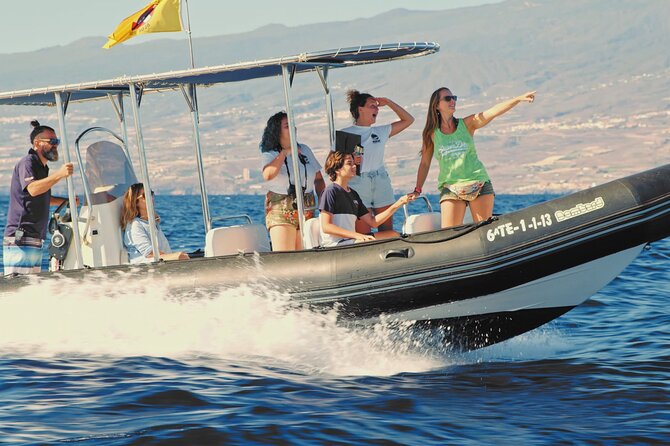 Whale and Dolphin Watching EcoAdventure in Tenerife - Who should book this Costa Adeje outing?