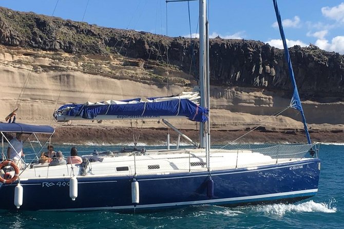 Whale and Dolphin Watching Sailing Boat with Drinks, Snacks and Swimming Time - The swimming and snorkeling stop