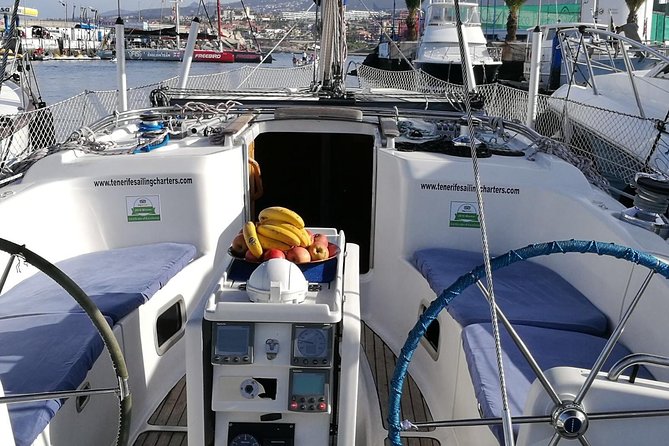 Whale and Dolphin Watching Sailing Boat with Drinks, Snacks and Swimming Time - How the three hours unfold