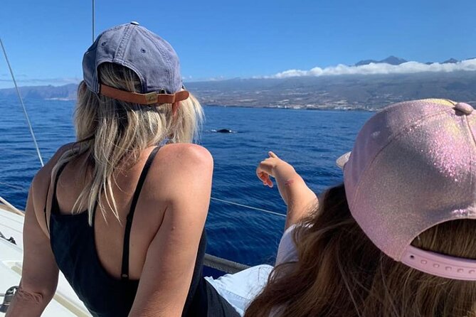 Whale and Dolphin Watching Yacht Trip in Puerto Colon - When to book and which departure to choose