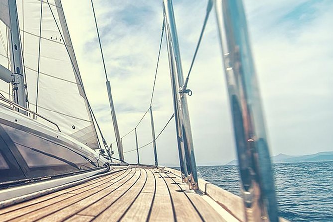 Whale and Dolphin Watching Yacht Trip in Puerto Colon - Who will enjoy this trip most