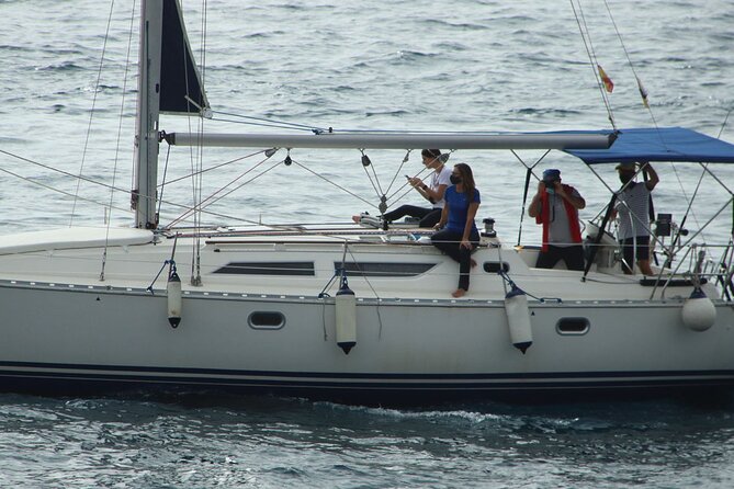 Whale & Dolphin Watching Boat Trip in Tenerife On a Sailing Boat (3 Hr) - Setting out from Puerto Colón