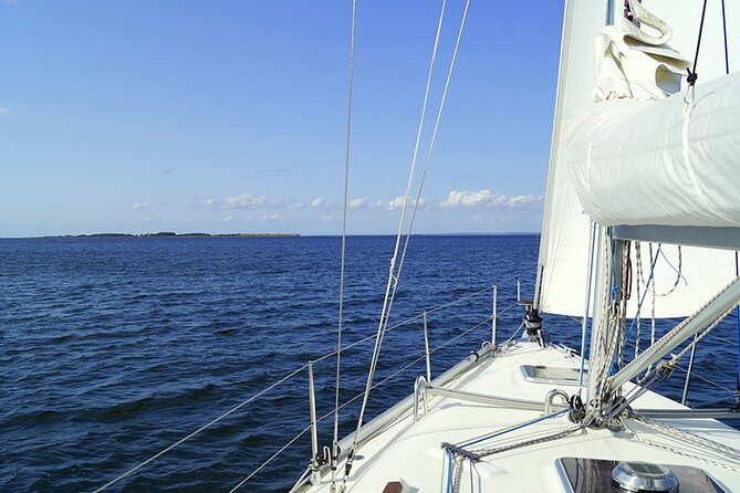 Whale & Dolphin Watching Boat Trip in Tenerife On a Sailing Boat (3 Hr) - The weather and cancellation risk