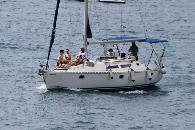 Whale & Dolphin Watching Boat Trip in Tenerife On a Sailing Boat (3 Hr) - Practical details for a smoother outing