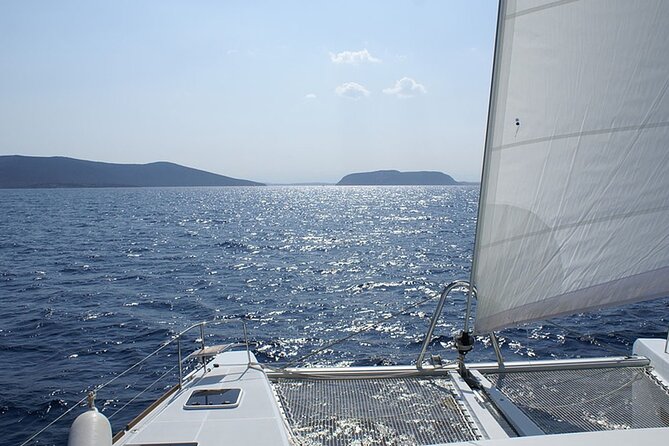 Whale & Dolphin Watching in Tenerife (Puerto Colon) On a Large Catamaran - What the three-hour schedule means for your day