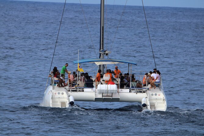 Whale & Dolphin Watching With Mustcat Virgin Coast Trip On a Large Catamaran - Leaving Las Galletas for open water