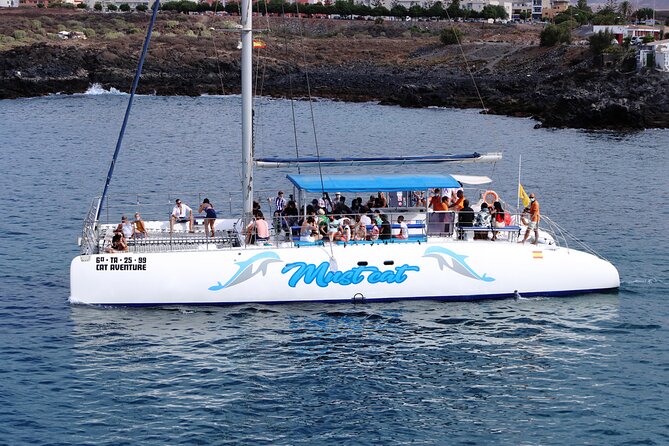 Whale & Dolphin Watching With Mustcat Virgin Coast Trip On a Large Catamaran - Final call: book it for the full package