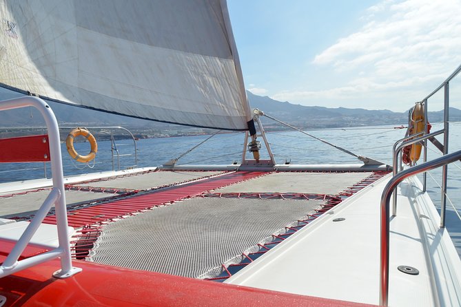 Whale Watching and Listening Eco Catamaran Tour with Food Tasting - Key points to know before you book