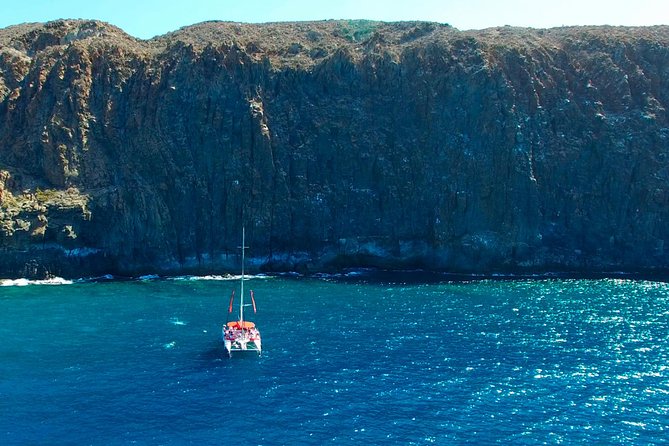 Whale Watching and Listening Eco Catamaran Tour with Food Tasting - Setting out from Costa Adeje at 10:30 a.m.