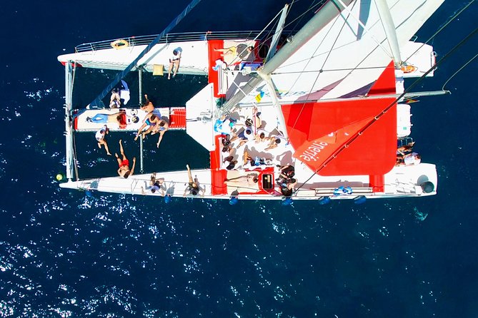 Whale Watching and Listening Eco Catamaran Tour with Food Tasting - Lunch, drinks, music, and the onboard mood