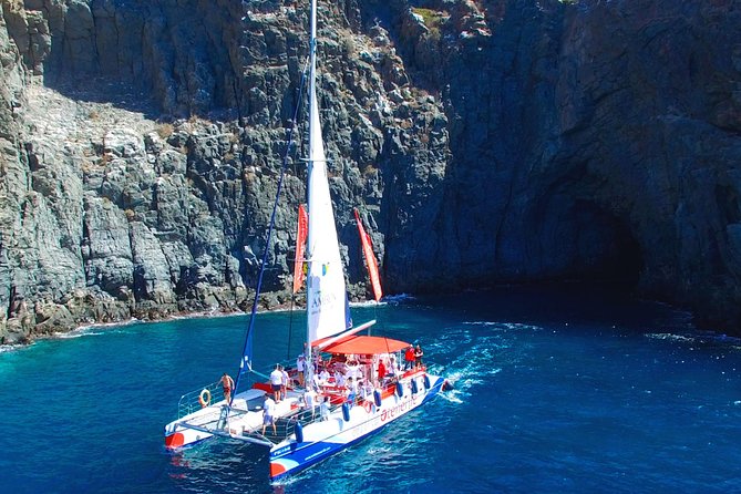 Whale Watching and Listening Eco Catamaran Tour with Food Tasting - Comfort, seating, and the 64-person capacity