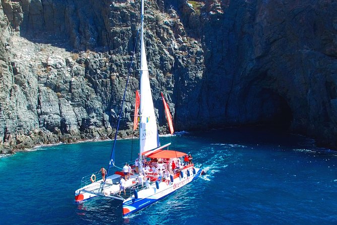 Whale watching and listening Eco-Catamaran Tour with Food Tasting - Booking, meeting point, and cancellation details