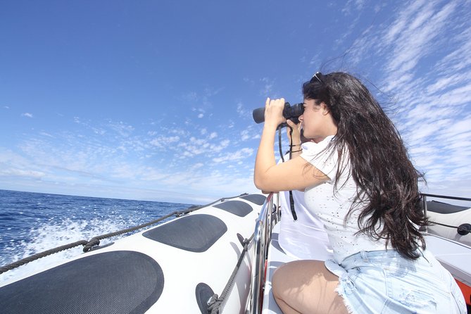 Whale Watching and Marine Science Tour - The science tools make quiet moments worthwhile