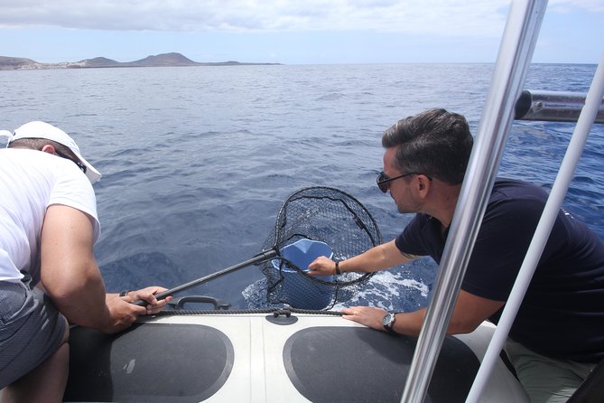 Whale Watching and Marine Science Tour - How much value do you get for $90.70?