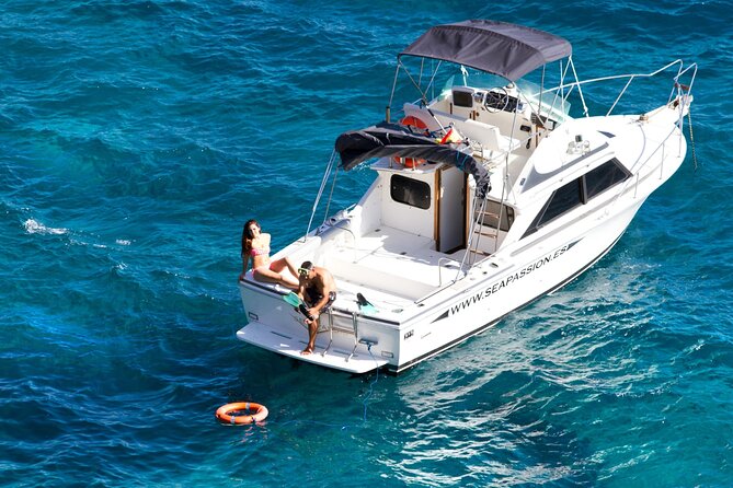 Whale watching and snorkelling in the whale sanctuary - What the captain explains on board
