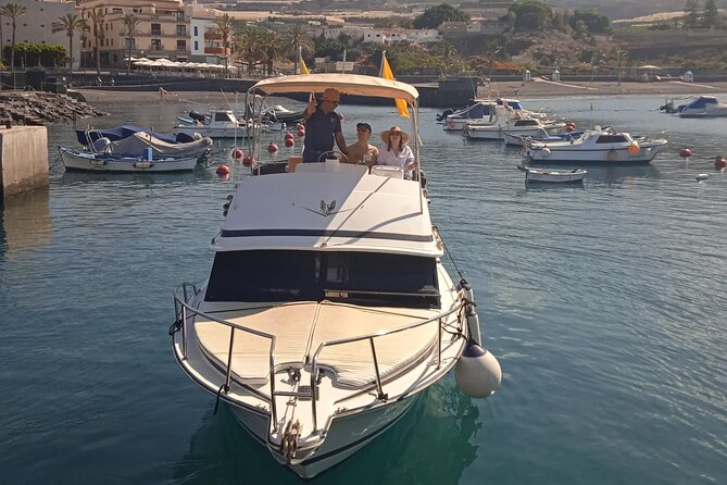 Whale watching and snorkelling in the whale sanctuary - Booking timing and cancellation terms