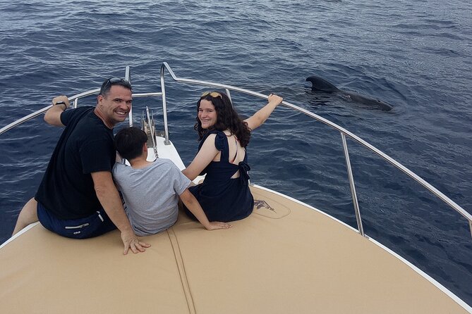 Whale watching and snorkelling in the whale sanctuary - Along the cliffs of Isorana