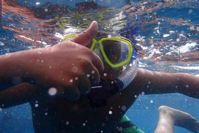 Whale Watching Catamaran Cruise with Transfer, Buffet by MC