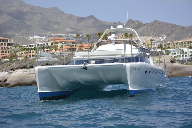 Whale Watching Catamaran Cruise with Transfer, Buffet by MC - Should you book the Monte Cristo cruise?