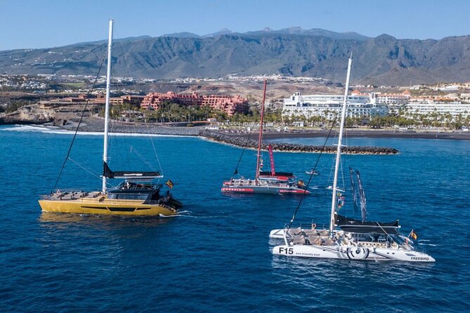Whale Watching Catamaran in Costa Adeje (Including drinks & Sandwich) - Finding pilot whales and dolphins off Tenerife
