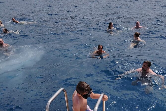 Whale Watching Catamaran in Costa Adeje (Including drinks & Sandwich) - Sandwiches, drinks, and the extras that cost more