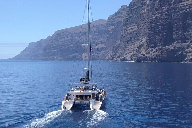 Whale Watching Catamaran to Los Gigantes & Masca (Including drinks & warm lunch) - Key points to know before you book