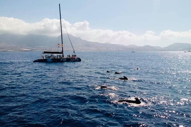 Whale Watching Catamaran to Los Gigantes & Masca (Including drinks & warm lunch) - What lunch and the drinks are really like