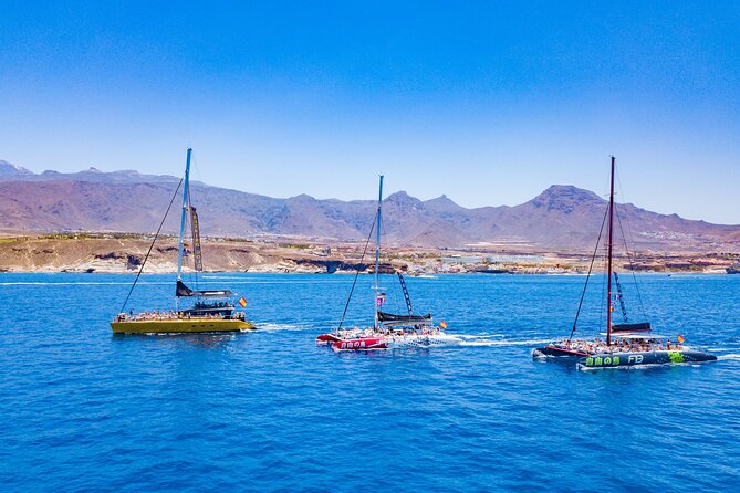 Whale Watching Catamaran to Los Gigantes & Masca (Including drinks & warm lunch) - The boat, seating, and seasickness question