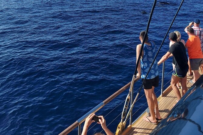 Whale Watching Catamaran to Los Gigantes & Masca (Including drinks & warm lunch) - Guide commentary and languages