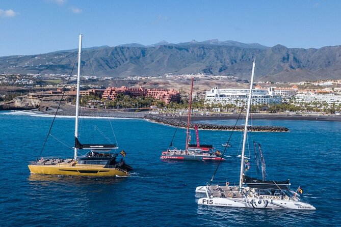 Whale Watching Catamaran to Los Gigantes & Masca (Including drinks & warm lunch) - Is $72.08 fair value?