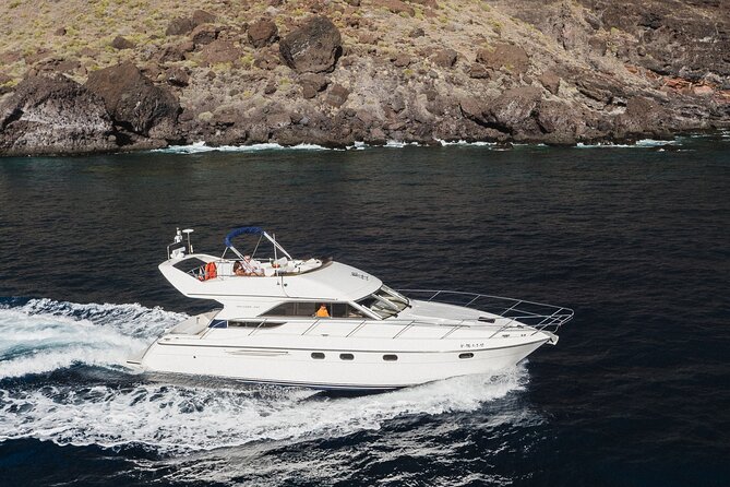 Whales and Dolphins excursion on a Luxury Yacht in Canary Islands - A small yacht with a better view of the water