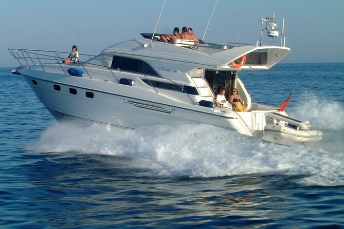 Whales and Dolphins excursion on a Luxury Yacht in Canary Islands - Who will enjoy this excursion most?