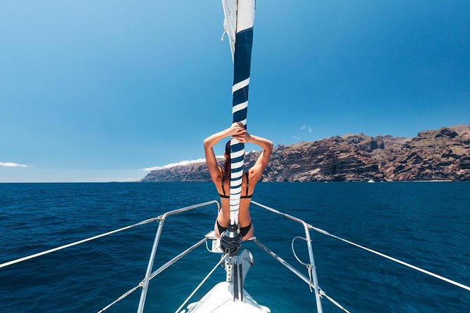Whales & Dolphins watching in exclusive sailboat - What happens during the three hours