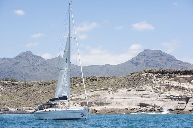 Whales & Dolphins watching in exclusive sailboat - Sailboat comfort, space, and the engine question