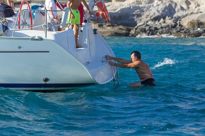 Whales & Dolphins watching in exclusive sailboat - Who will enjoy this most