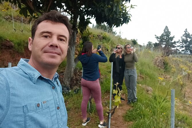 Wine, Canarian Tapas, Culture, VIP Private tour - photos included - Key points at a glance