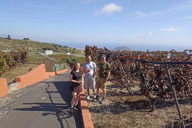 Wine, Canarian Tapas, Culture, VIP Private tour - photos included - Playa de El Roque and the volcanic coast