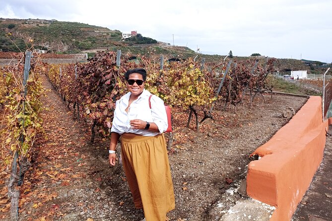 Wine, Canarian Tapas, Culture, VIP Private tour - photos included - Lunch is optional, and it is not included