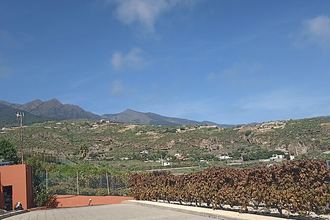 Wine, Canarian Tapas, Culture, VIP Private tour - photos included - Cruise passengers get a useful safety margin