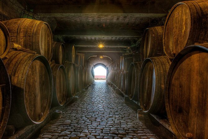 Winery Tour and Tasting in Tenerife with the Sommelier - Is $61.51 a fair price?