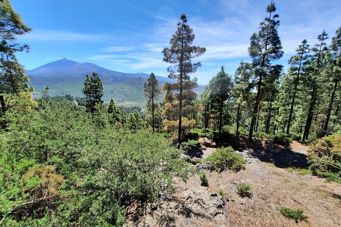 Wonderful hike through the Magic Forest of Tenerife - Getting to Restaurante Fleytas in Erjos