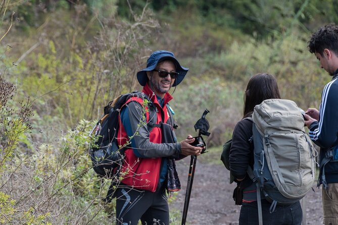 Wonderful hike through the Magic Forest of Tenerife - Nature, geology, and local life in one outing